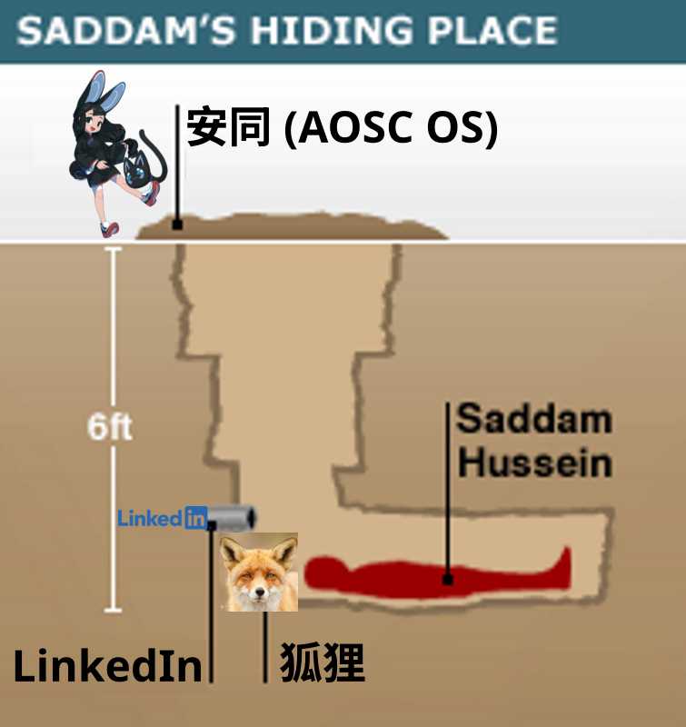 Saddam's hiding place meme but it's about LinkedIn and AOSC and foxes